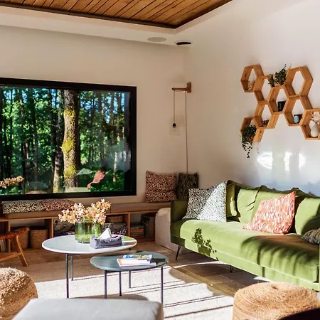 Dans Les Arbres * Lanta