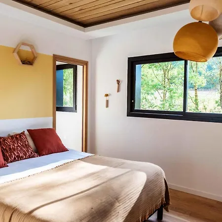 Dans Les Arbres Lanta