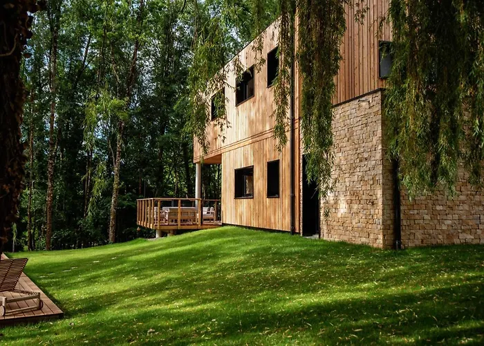 Dans Les Arbres Lanta