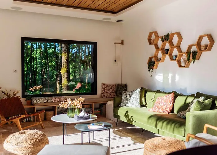 Dans Les Arbres * Lanta