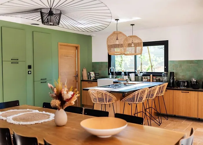 Dans Les Arbres Lanta