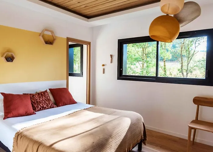 Dans Les Arbres Lanta