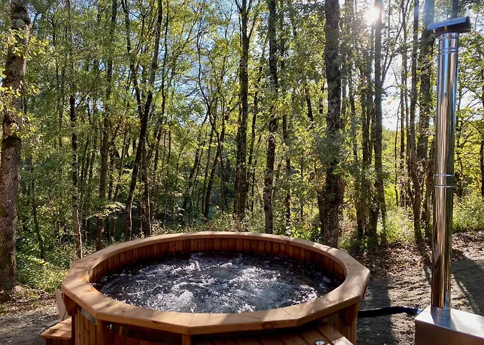 Dans Les Arbres Lanta