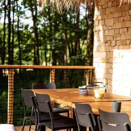 Dans Les Arbres * Lanta