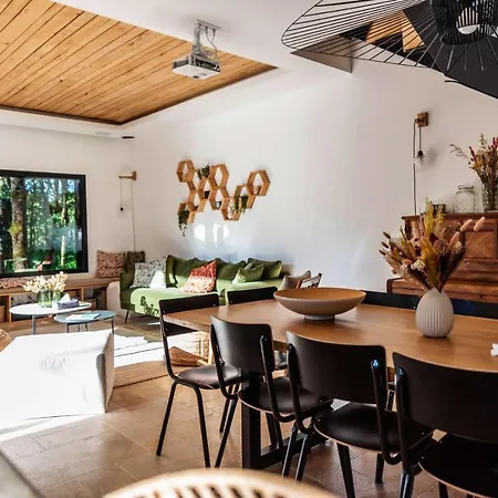 Dans Les Arbres Hotel Lanta