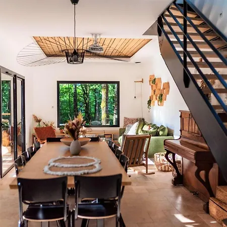 Dans Les Arbres Hotel