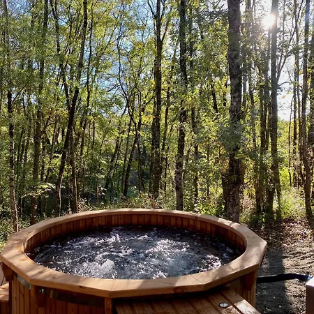 Dans Les Arbres Lanta